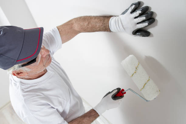 Best Mold Remediation for Healthcare Facilities  in Beach Park, IL