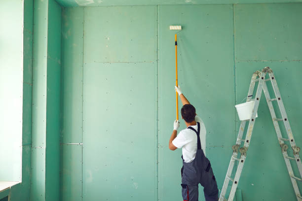 Reliable Beach Park, IL Mold Removal Solutions