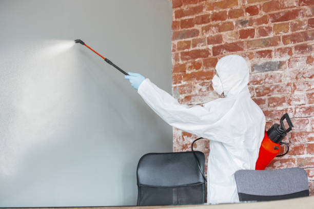 Best Residential Mold Inspection & Testing  in Beach Park, IL