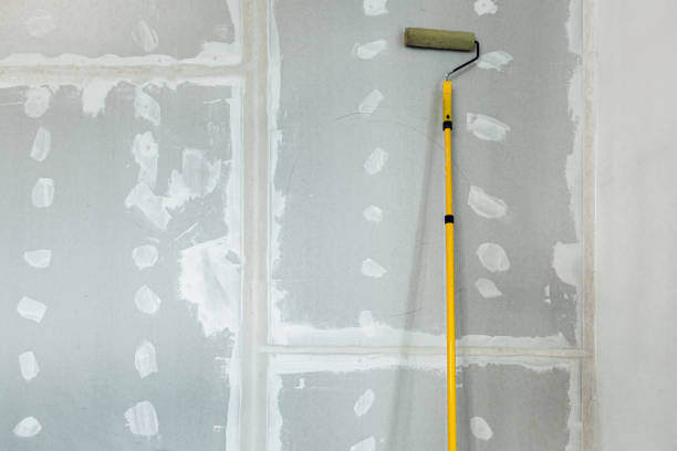 Best Mold Odor Removal Services  in Beach Park, IL