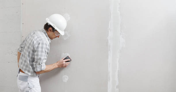 Best Forensic Mold Investigation  in Beach Park, IL