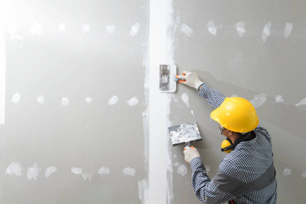 Best Mold Damage Restoration  in Beach Park, IL