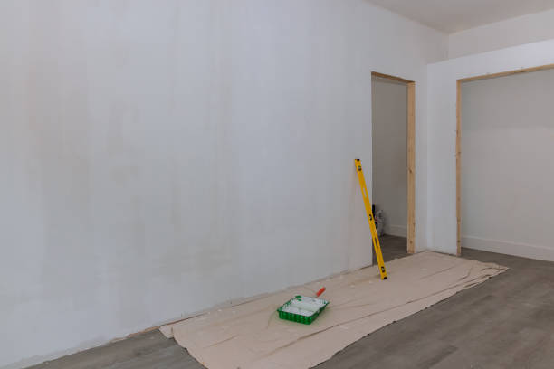 Best Commercial Mold Inspection  in Beach Park, IL