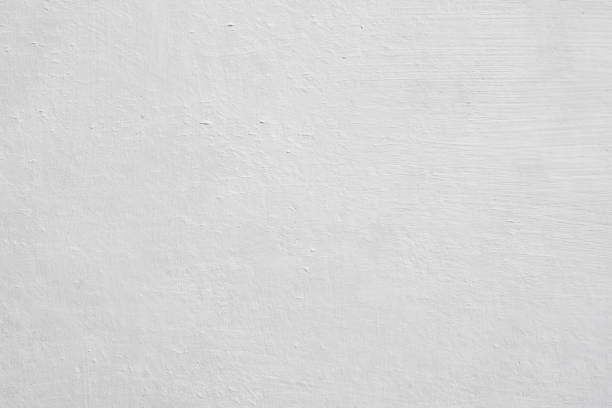 Mold Documentation for Insurance Claims in Beach Park, IL