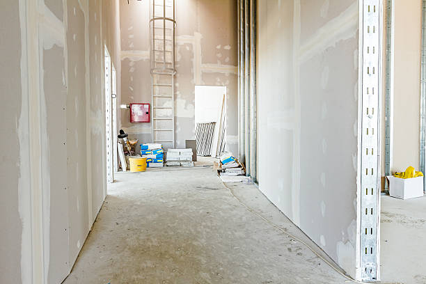 Best Mold Removal for HVAC Installations  in Beach Park, IL