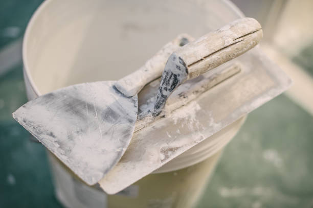 Best Asbestos and Lead Testing During Mold Inspection  in Beach Park, IL